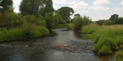 Farm and Ranch in Albany County, Wyoming