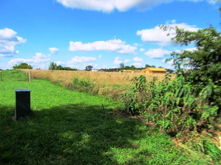 Farm and Ranch in Greene County, Missouri
