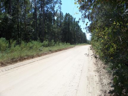 Land in Brantley County, Georgia