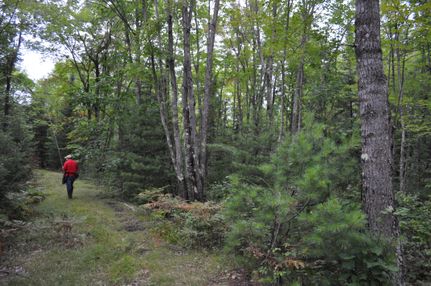 Recreational Property in Marinette County, Wisconsin