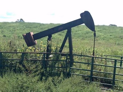 Undeveloped Land in Adair County, Kentucky