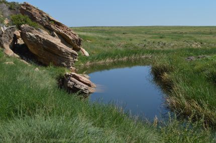 Farm and Ranch in Bent County, Colorado