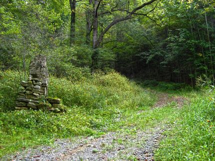 Undeveloped Land in Madison County, North Carolina