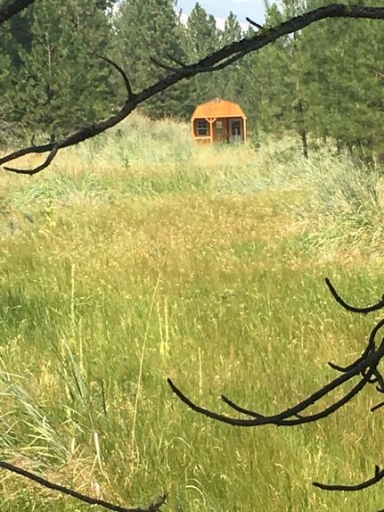 Undeveloped Land in Okanogan County, Washington