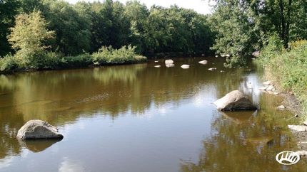 Hunting Property in Wood County, Wisconsin