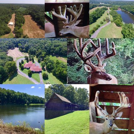 Farm and Ranch in Trigg County, Kentucky