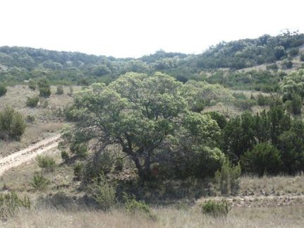 Hunting Property in Taylor County, Texas