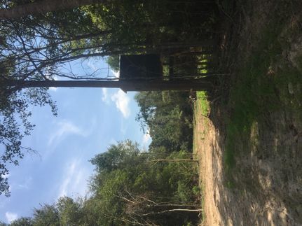 Recreational Property in Perry County, Mississippi