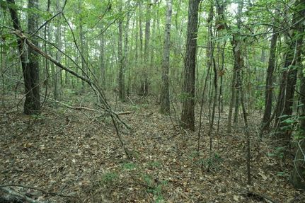 Land in Perry County, Alabama
