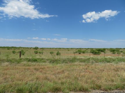 Timberland Property in Dickens County, Texas