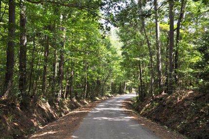 Undeveloped Land in Angelina County, Texas