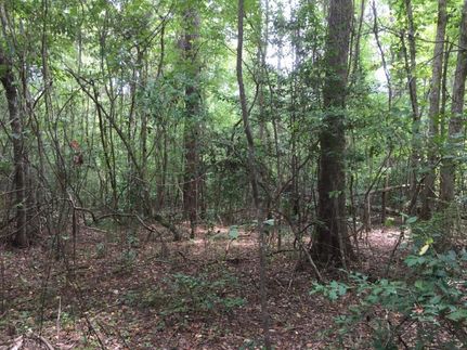 Farm and Ranch in Conecuh County, Alabama