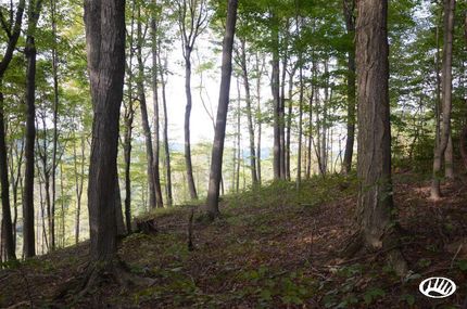Farm and Ranch in Armstrong County, Pennsylvania