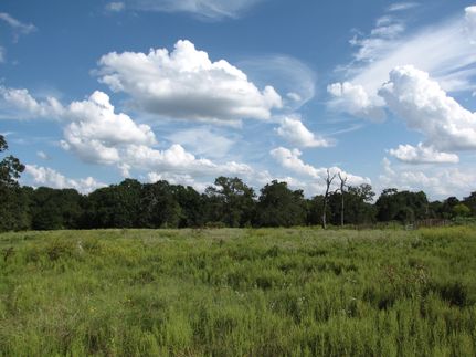 Undeveloped Land in Brazos County, Texas