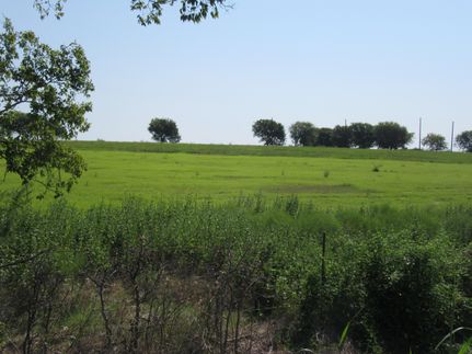 Undeveloped Land in Bell County, Texas