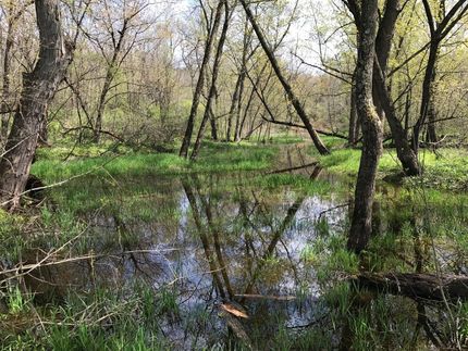 Undeveloped Land in Buffalo County, Wisconsin