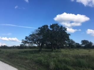 Undeveloped Land in Karnes County, Texas
