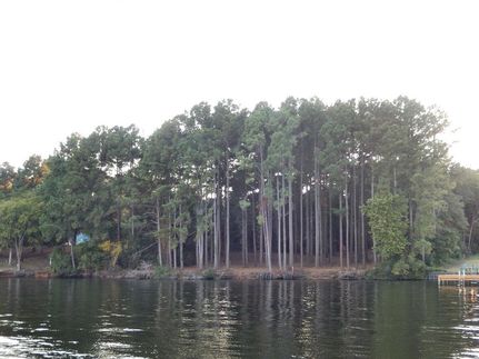 Timberland Property in Henderson County, Texas