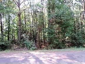 Undeveloped Land in Nacogdoches County, Texas