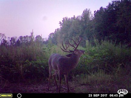 Land in Fayette County, Tennessee