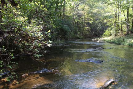 Recreational Property in Carroll County, Georgia