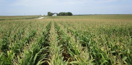 Farm and Ranch in Benton County, Iowa