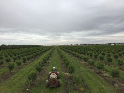 Farm and Ranch in Merced County, California