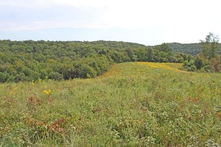 Land in Scioto County, Ohio