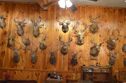 Commercial Property in Zavala County, Texas