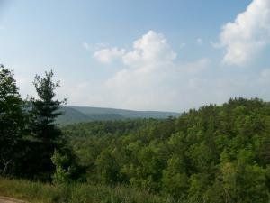 Undeveloped Land in Alleghany County, Virginia