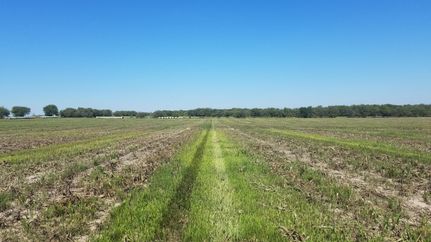 Undeveloped Land in Bell County, Texas