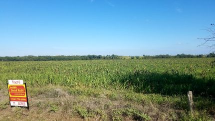 Undeveloped Land in Bell County, Texas