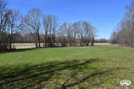 Farm and Ranch in Fayette County, Tennessee