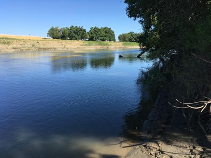 Waterfront Property in Yolo County, California