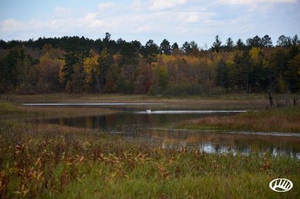 Land in Hubbard County, Minnesota
