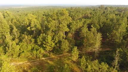 Timberland Property in Jones County, Mississippi