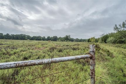 Undeveloped Land in Young County, Texas