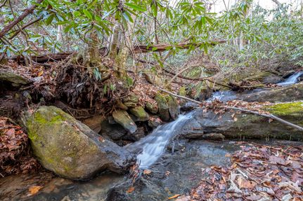 Undeveloped Land in Carroll County, Virginia