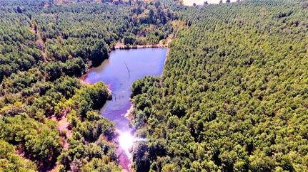 Recreational Property in Morris County, Texas