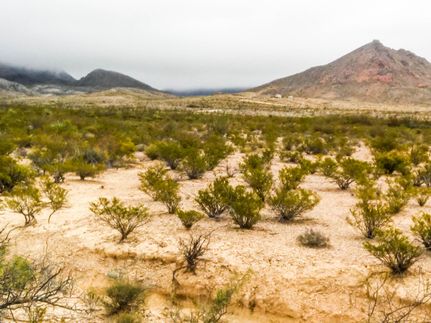 Timberland Property in Brewster County, Texas