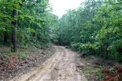 Undeveloped Land in Pushmataha County, Oklahoma