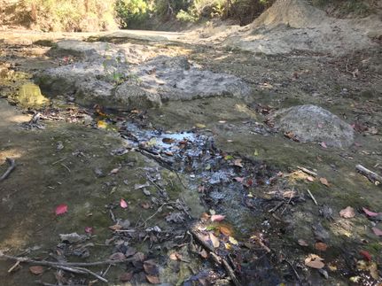 Recreational Property in Grimes County, Texas