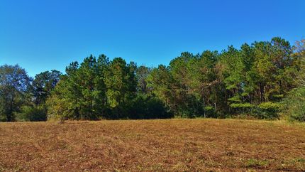 Recreational Property in Chilton County, Alabama