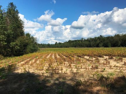 Land in Dorchester County, South Carolina