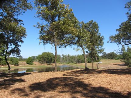 Horse Property in Van Zandt County, Texas