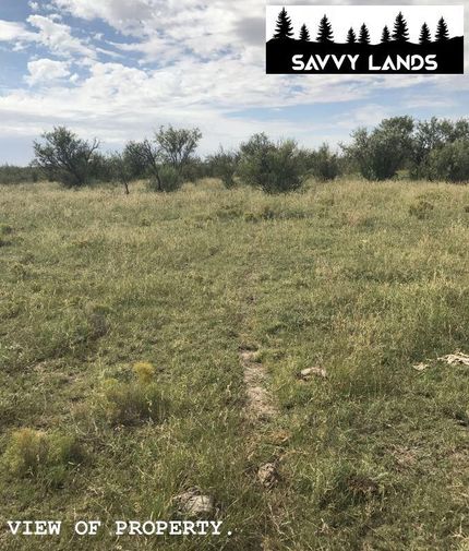 Farm and Ranch in Hudspeth County, Texas