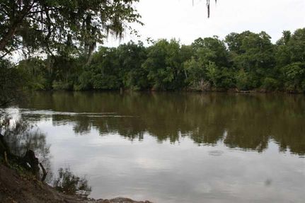 House in Effingham County, Georgia