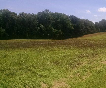 Farm and Ranch in Richmond County, Virginia