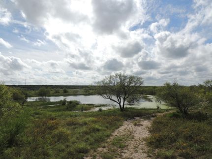 Undeveloped Land in Duval County, Texas