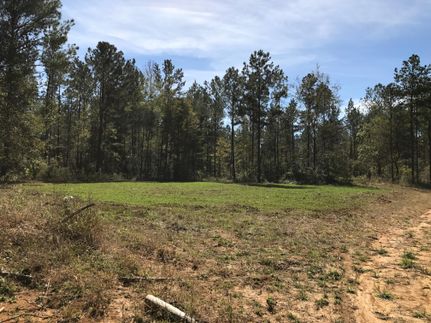 Timberland Property in Newton County, Mississippi